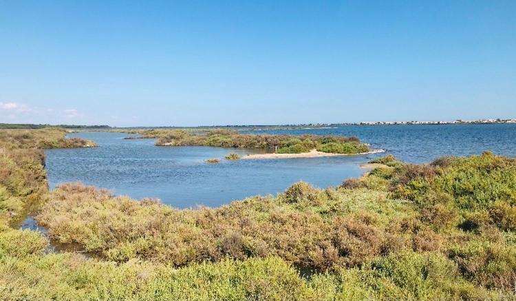 Le Nautica Plage T2 Climatise En Bord De Mer Frontignan Zewnętrze zdjęcie