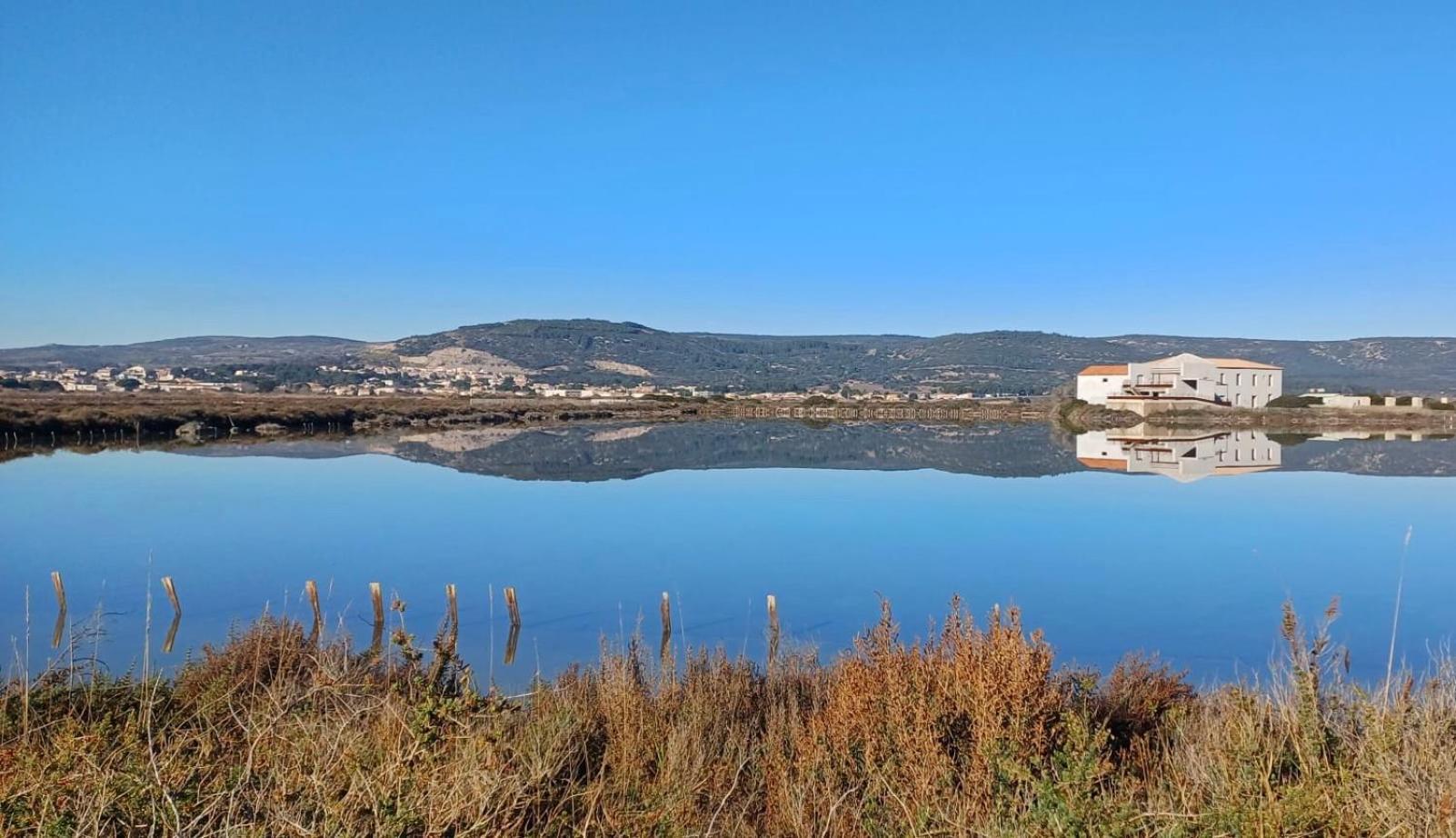 Le Nautica Plage T2 Climatise En Bord De Mer Frontignan Zewnętrze zdjęcie